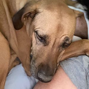 Meet your Posher, Sherri